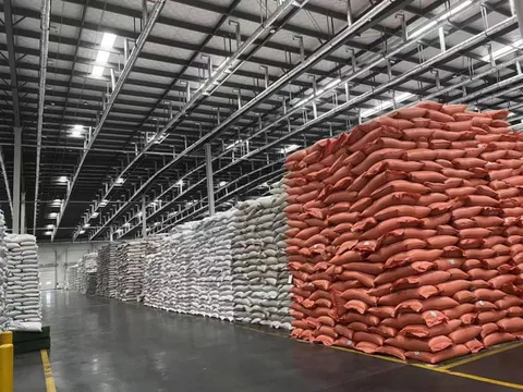 A First in Zhejiang! SINOSURE Provides an &ldquo;Insurance Safety Net&rdquo; for Advance Payments on Agricultural Imports