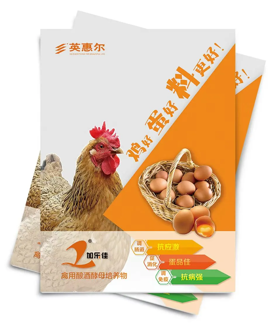 家乐家 * 酿酒酵母 * 家禽培养
