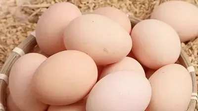 Eggs: Is the upward trend stalled? Beware of a pullback!