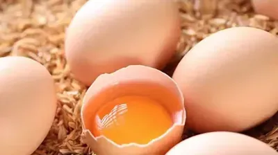 Өйшірі: Өйшім бағасы жоқ!