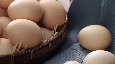 Жабыс: соңғы рұқсат мәлімет! Олар кетіп жатыр ба?