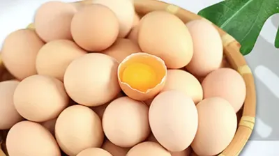 Көбіс: Бағалар тірке алады! Жоғарғы тендері болмайды!