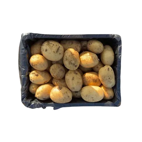 Свежий картофель